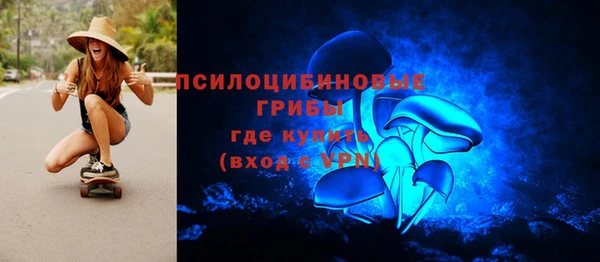 ПСИЛОЦИБИНОВЫЕ ГРИБЫ Арсеньев