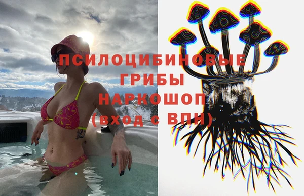 прущий лед Аркадак