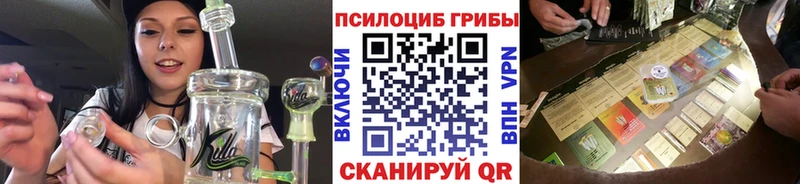 Псилоцибиновые грибы Psilocybine cubensis  Купить где  Белая Холуница 